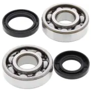 Crank Bearing & Seal Kit~2000 Yamaha YZ125 All Balls 24-1024