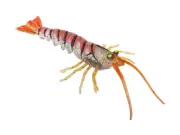 Savage Gear TPE Panic Shrimp Soft Bait Red