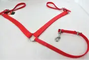 Breast Collar Biothane Horse Western Tack Colors Beta Stainless Steel 1 1/4" New