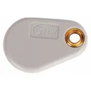 Keri Systems Proximity Key Fob,1-1/2" H,PK10 PKT-10X-10 Keri Systems PKT-10X-10