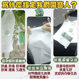 【園藝人 最便宜不用比】不織布套袋 水果套袋 絲瓜套袋 防蟲網袋 芒果套袋 苦瓜套袋 防蟲袋 套袋 水果套袋 蔬果套袋