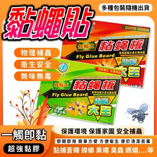 【黏蠅板】1包10入 超年捕蠅紙 抓蒼蠅板 黏蠅紙 蒼蠅紙 黏蒼蠅板 捕蠅板 黏蟲板 (1.1折)