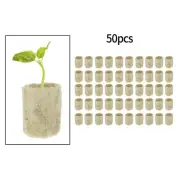 Grow Media Propagation Cubes for Efficient Plant Development Pack of 50pcs