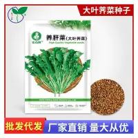 在飛比找蝦皮購物優惠-現貨、種子 野生薺薺菜大葉野菜種子芨薺菜種籽陽臺庭院四季盆栽