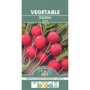 Mr Fothergill's Radish Rudi Seeds