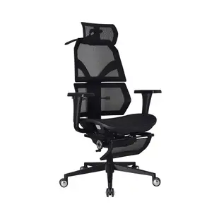 完美主義 艾索人體工學椅(尼龍椅腳)電腦椅/辦公椅(2色)