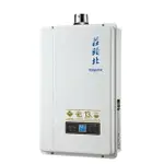 【點數10%回饋】莊頭北 TH-7139FE (NG1/LPG) FE式 13L 數位恆溫熱水器 7139