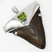 1.95-inch Fossil Shark Tooth Pendant – Megalodon Tooth, Sterling Silver Cap