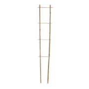 Bamboo Ladder Trellis - 85cm