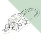 'Tokay Gecko' Clear Decal Stickers (DC046402)