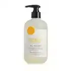 Dani Naturals Grapefruit Ginger Hand Wash Soap 12 fl oz Bottle