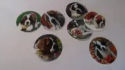 Pre Cut One Inch Bottle Cap Images! DOG ST. BERNARD Free Ship