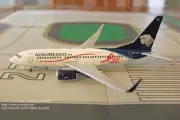 JC Wing Aeromexico Boeing 737-700W with Pink Ribbon Color Diecast Model 1:200