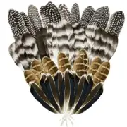 40Pcs Turkey Feathers for Crafting, Natural Pheasant Feathers Hat Feathers, 4