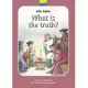 John Calvin What Is the Truth?: The True Story of John Calvin and the Reformation