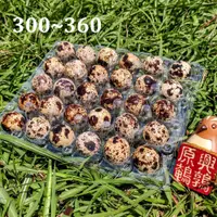 在飛比找蝦皮購物優惠-📢超取最大組~菁英鮮鶉蛋❤️30顆膠盒裝X10盒~ 三北北的