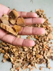 100% Organic Coconut Husk Chips - Natural Fiber for Orchid & Anthurium Growing