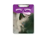 Animal Blue Eye Kitten Gray Photograph Tongue Clipboard Folder File Pad Storage Plate A4