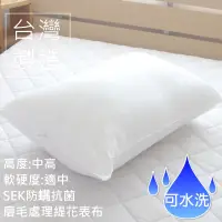 在飛比找蝦皮購物優惠-可超取/現貨/可水洗【SEK台灣製防螨抗菌緹花枕頭】台灣製造