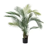 NEW Emerald Hill Large Potted Date Palm By Spotlight