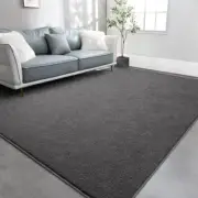 Large Area Rugs for Living Room Bedroom, Super Soft Indoor 6x9 Feet Dark Grey
