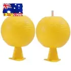 Fruit Fly Traps Flying Insects Trap Citrus Shaped for Fruit Fly Hoverfly Gnat