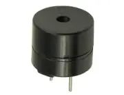 One 5V Active Buzzer 12mm