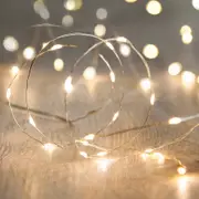 Battery Operated 40 Micro LED String Lights with Timer - 3 Colour Options