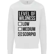 Levels of Wildness Scorpio Kids Sweatshirt Jumper
