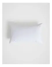 [Fine Day] Rectangle Feather Fill Pillow in Ecru