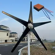 800W / 1000W / 1200W Wind Turbines 12V / 24V / 48V Wind Power Generator with MPPT Controller and 5 Black Blades, Home Wind Turbine Generator Kit for Roofs, Streets, Outdoors,1000w,24V
