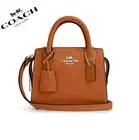 $398 NWT COACH Andrea Mini Carryall Bag Leather In SILVER/WASHED ORANGE