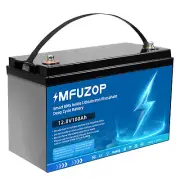 LiFePO4 12V 100Ah Lithium Iron Phosphate Battery Rechargeable Camping RV