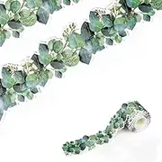 Eucalyptus Border Bulletin Board, Eucalyptus Die Cut Border Green Leaves Bulletin Border Trim for Photo Wall Home and School Decorations(49 ft/15 m)