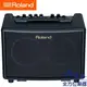 【全方位樂器】ROLAND Acoustic Chorus Guitar Amplifier 民謠/空心吉他音箱(30W，可用電池) AC-33 AC33