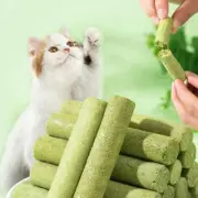 CatGrass Sticks For Indoor Cat Grass Chew Sticks TeethCleaner Toy Cat NEW A7O9