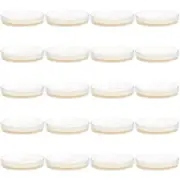 20 Pcs Petri Dish Dishes Nutrient Agar Plate Plates Mycology Baby Child