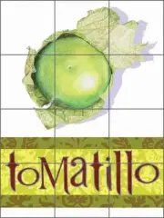 Ceramic Tile Mural Backsplash Chamberlain Tomatillio Fruit Vegetable Art JC5-003