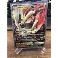 在飛比找蝦皮購物優惠-PTCG 白色酋雷姆 GX Pokemon White Ky