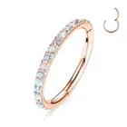 Septum Ring Nose Hoops Surgical Steel Cartlidge Earrings Hoop Septum Clicker ...