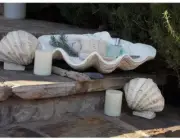 Large Clam Shell Decor Beach Tabletops Buffets Dressers Display Hand Crafted