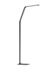 LEDlux Terrence LED Black Dimmable Colourshift Floor Lamp