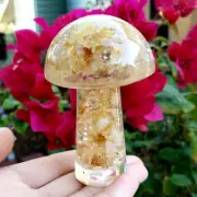 Citrine orgone resin mushroom natural Crystal Healing Larger Gemstone