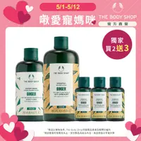 在飛比找蝦皮商城優惠-【THE BODY SHOP 美體小舖】薑根抗屑2+3洗護髮