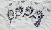 4 New Packs "Iron-On Appliqués" by Create It, Polar Bear Tree Star, 12 Holiday
