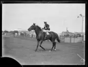 Racehorse Closing Time cantering on to the track NSW 27 December 1- Old Photo