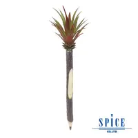 在飛比找PChome24h購物優惠-【日本 SPICE 】天然獨特 D仙人掌 造型圓珠筆