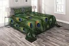 Peacock Quilted Coverlet & Pillow Shams Set, Exotic Animal Feathers Print