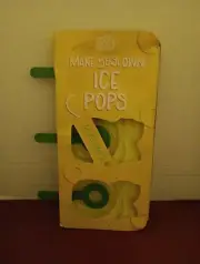 Cool Gear Ice Pop Mold Pineapple Popsicle Maker Summer Treat Juice Ice Cream NEW