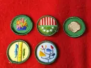 5 Girl Scout Junior Badges/Patches Cookie Teen Scouting in USA Arts Home